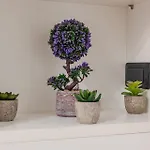 Guest Planet - Arco Della Pace *